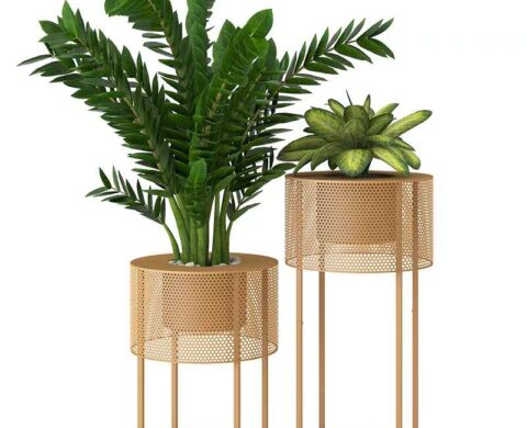 Planters 1