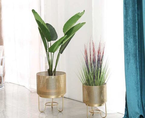 Planters 2