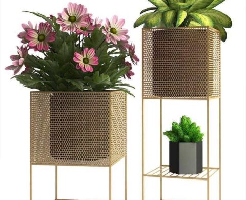 Planters 3